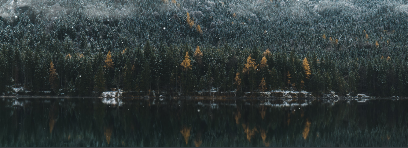 image-20230722223102795