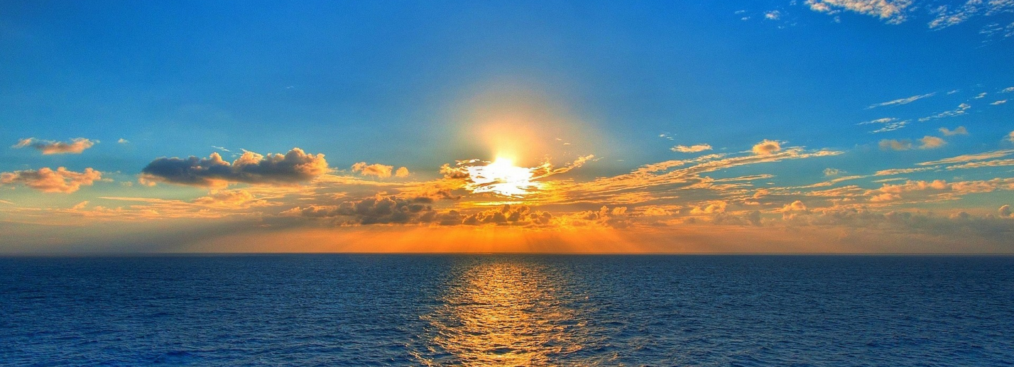 image-20231225184519907