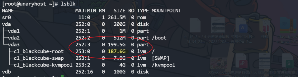 image-20231211184858603