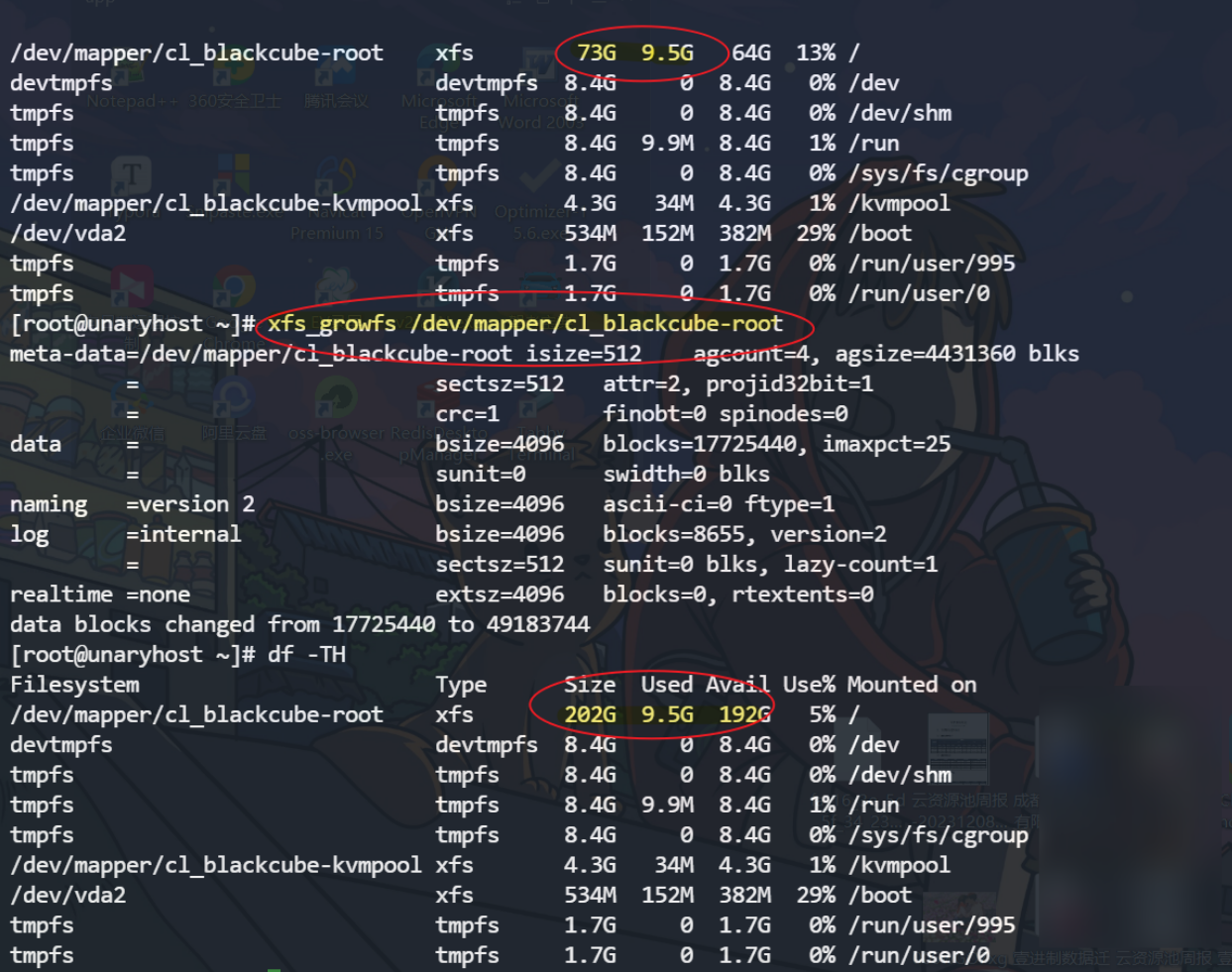 image-20231211184945131