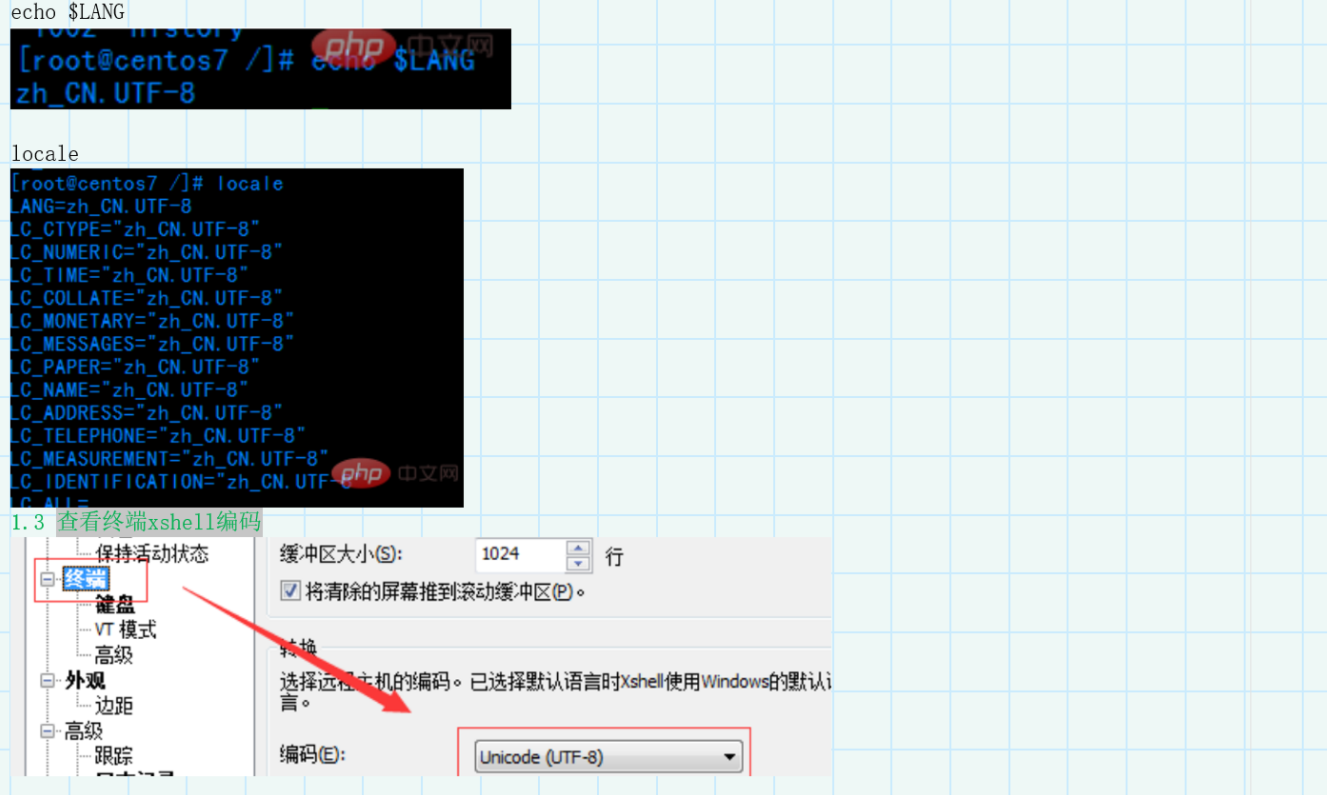 image-20230810181108676