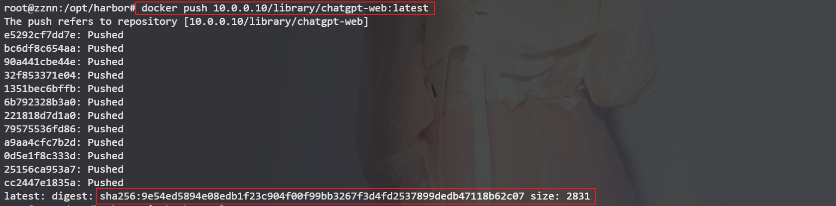 image-20231110232222651