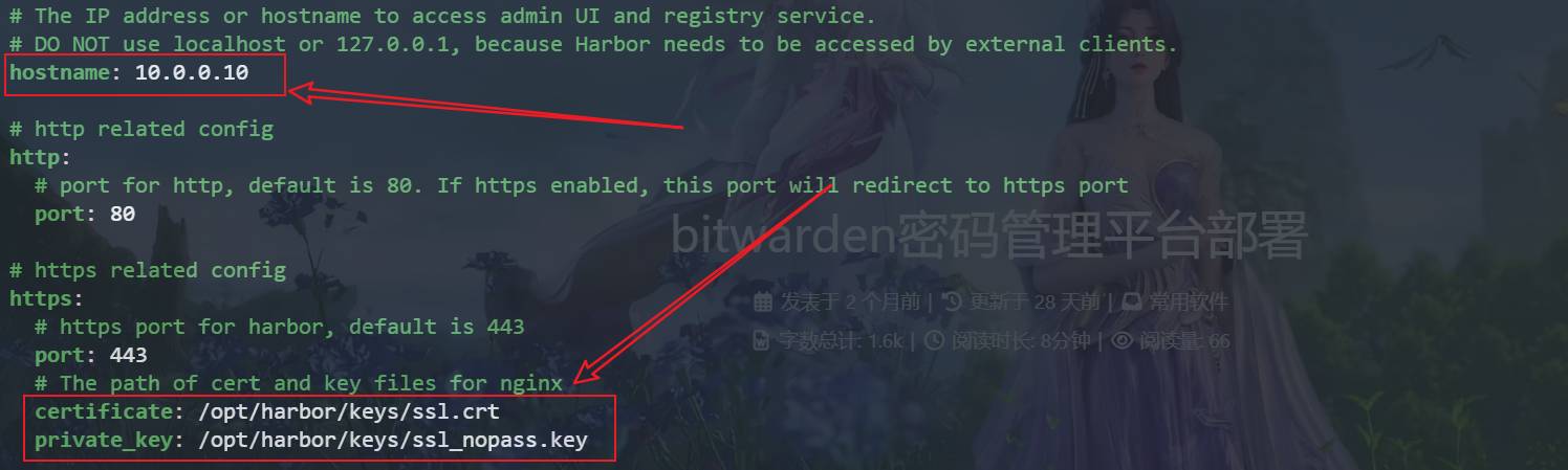 image-20231110232726417