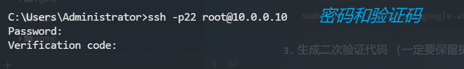 image-20231127142458881