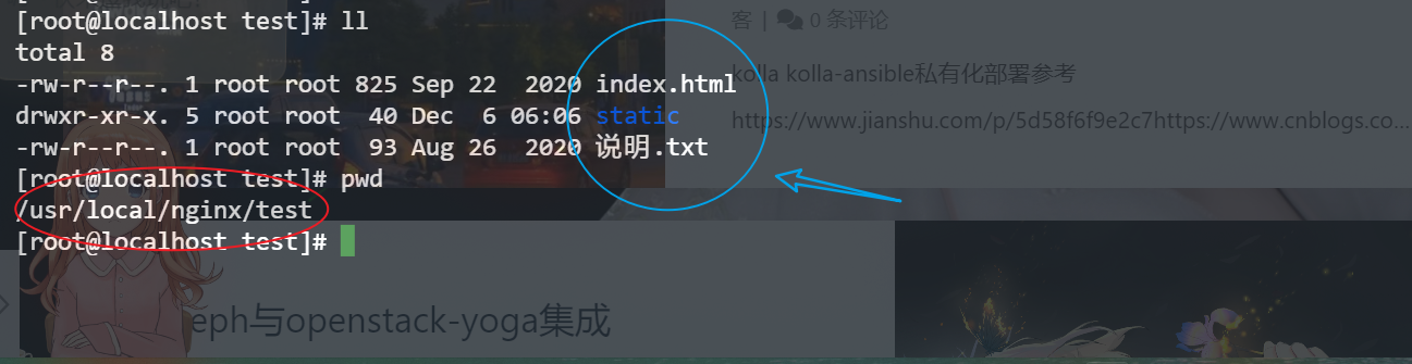 image-20231206200207045