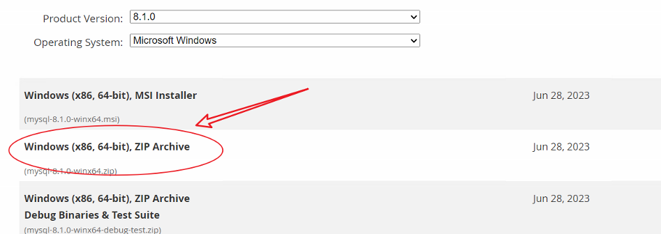 image-20231207141542864