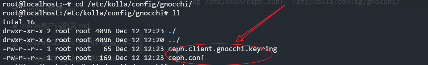 image-20231212213938055